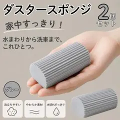 ダスタースポンジ 【2個パック】 グレー ダンプダスター 給水スポンジ