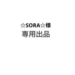 ☆SORA☆様専用