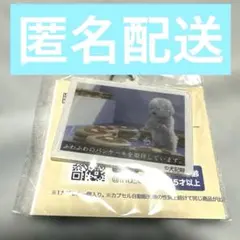 犬記録 アクリルチャーム ふわふわのパンケーキを崇拝しています