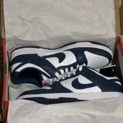 Nike Dunk Low Valerian Blue バレリアンブルー 27