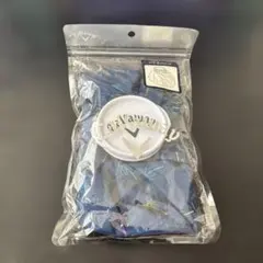 Item thumbnail for item 217cff00-4e13-46f7-90da-2eaaf536d680