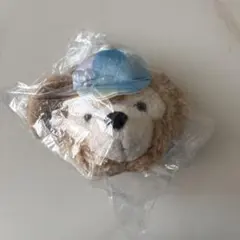 非売品 ディズニーシー バケパ ダッフィー カラフルハピネス 20周年