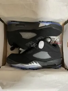 新品 激レア ナイキ エアジョーダン5 レトロ ロー ゴルフシューズ