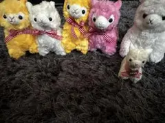 アルパカッソ セット6匹