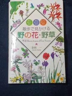 散歩で見かける『野の花・野草』