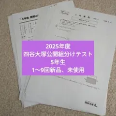 2025年度　四谷大塚公開組分けテスト　5年生　1〜9回新品、未使用