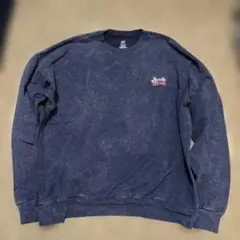 Hanes Arctic Circle スウェット ネイビー XL