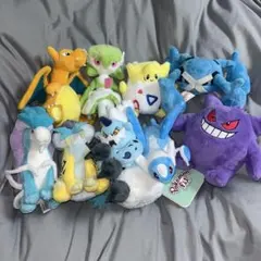 Pokemon fit まとめ売り