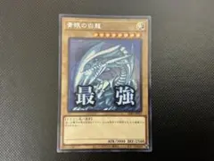 遊戯王OCG「青眼の白龍(スタンプ)」シークレットレア1枚
