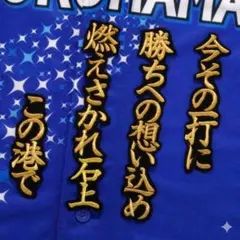 Item thumbnail for item ba23c5d5-049a-4e13-8072-95ce9f3b7298