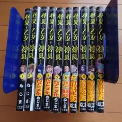 真・恋姫 無双 外史祭典 全10巻セット - メルカリ
