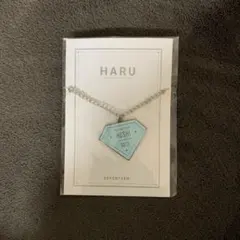 seventeen ホシ HARU キーホルダー