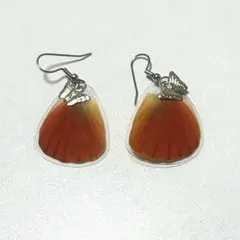 Item thumbnail for item 9f8c8c9c-5b54-485c-a142-ed581f467440