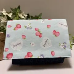 ハンドメイド移動ポケット(マチあり)☆女の子　レースといちご(水色)