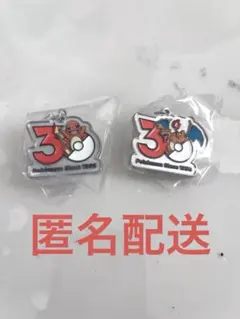 ポケモン 30周年記念　メタルチャーム　ヒトカゲ　リザードン