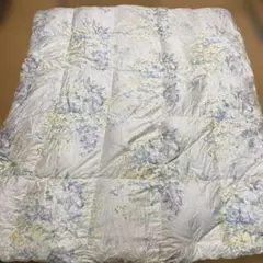 クイーンサイズ 羽毛掛け布団Jinpet