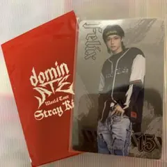 Stray Kids dominATE Felix トレカ