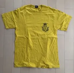 『値下げ可能』stussy Tシャツ