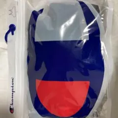チャンピオン　スポーツブラLサイズのサムネイル