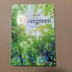 Evergreen Keep the Forest Evergreen