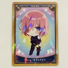 FGO Fate ミニ最終再臨サーヴァントコレクションカード マシュ