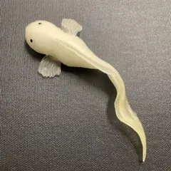 マリアナスネイルフィッシュ　オーシャンアタック　&co デアゴスティーニ