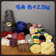 毛糸セット 2.5kg 多色