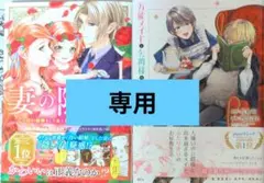 ☆ピノ子☆(7〜9日発送不可です)様専用