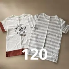 120 Tシャツ2枚セット　ほぼ新品