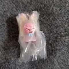 straykids skzoo めじるしアクセサリー トゥエッキ チャンビン