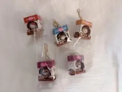 サンリオキャラクターズ ミニチュアパッケージコレクション ハローキティ クロミ