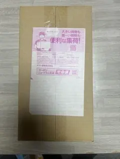 ポケモンカードゲーム スカーレット＆バイオレット スペシャルBOX フクオカ