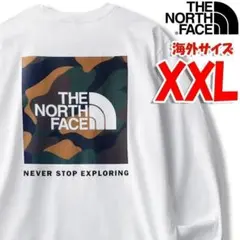 ノースフェイス 長袖 ロンT 白 長袖Tシャツ 海外XXL 日本4L相当 cam