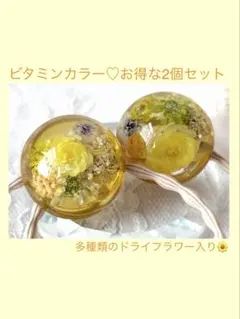 『0556』定価 半額‼️９月３０日まで