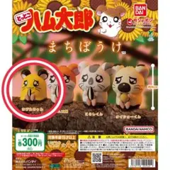 とっとこハム太郎 まちぼうけ ちび丸ちゃん