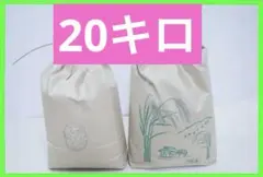 ◆栽培期間中無農薬◆令和7年収穫 ◆滋賀県産キヌヒカリ、玄米20㎏　④のサムネイル