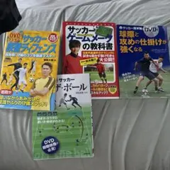 柿澤剛之 ブラジルのレジェンドに学んだ スマッシュパス 柔術 DVD