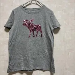 アバクロンビー＆フィッチ Tシャツ M グレー ピンクスパンコール ムースロゴ