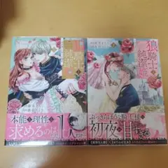 狼騎士と純潔姫 ～身分違いの淫らな純愛～ 全2巻