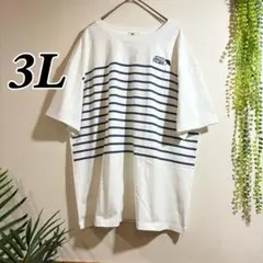 23番 アーノルドパーマー ボーダーTシャツ 3L ゆったりのサムネイル