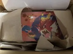 新品未開封　ポケモンセンター ヒロシマ スペシャルBOX