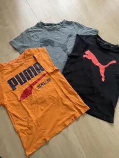 PUMA Tシャツ 3枚セット