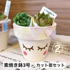 2026年最新】リメイク鉢の人気アイテム - メルカリ