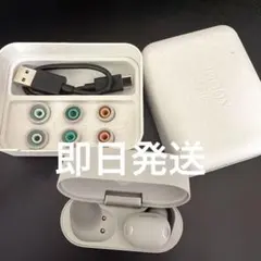 SONY ワイヤレスイヤホン 充電ケース 右耳 即日発送 wf-1000xm6のサムネイル