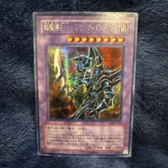 ブラックパラディン