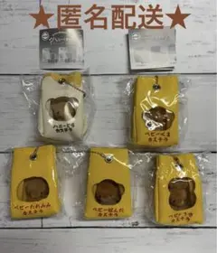 ハニーくまカステラ　ベビーくまカステラ　5個セット