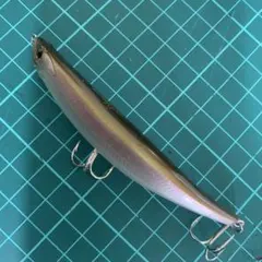 ネイティブダイスキ様 リクエスト 2点 まとめ商品