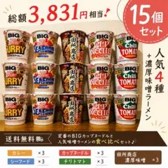 BIGカップヌードル15個セット 田所商店入り 詰め合わせ ❣️のサムネイル