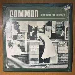 Common / Like Water For Chocolate US 2LP