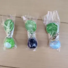 フロッグスタイル　めじるしアクセサリー　3点セット